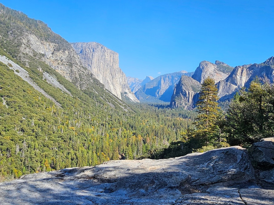 Yosemite Private Tours-Wawona必去景点