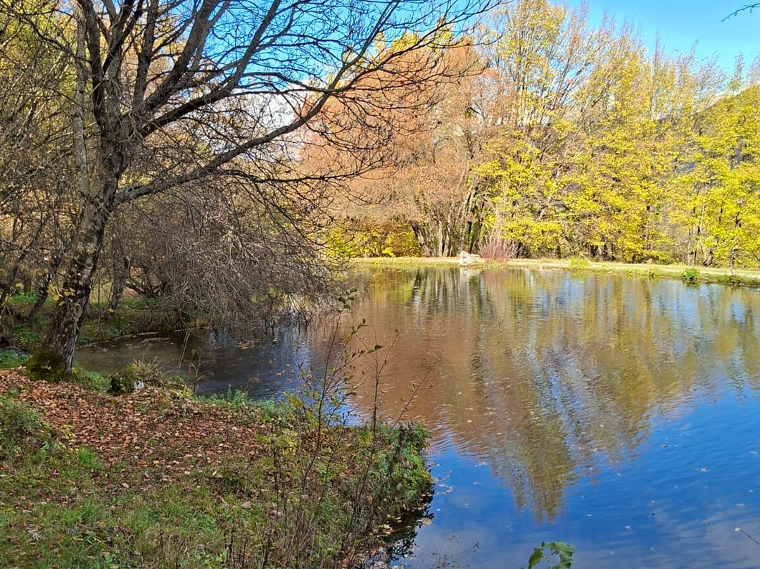 Parco Naturale la Sponga-Canistro必去景点