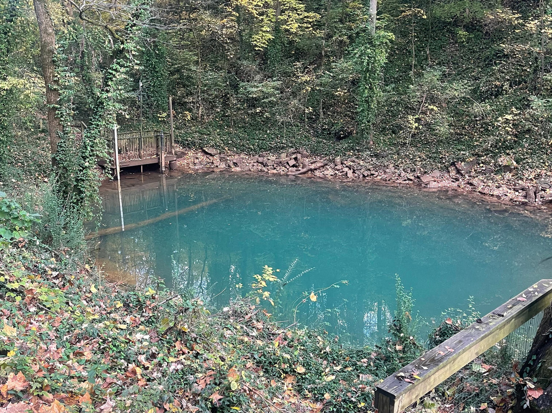 Lost River Cave-鲍灵格林必去景点