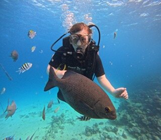 托皮特萨赫尔哈希什酒店-泳池