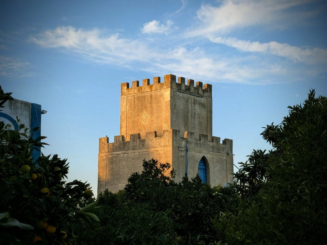 Castelo de Avis-Avis必去景点