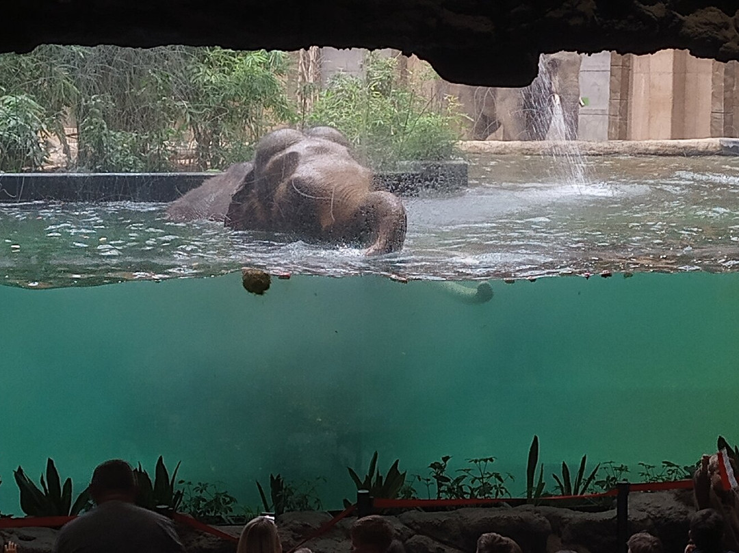 Orientarium Zoo Lodz-罗兹必去景点