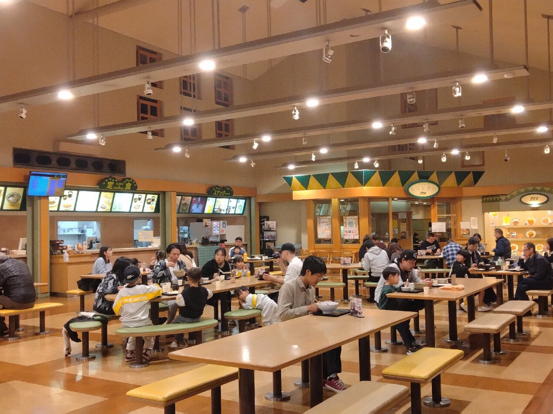 Wangan Nagashima Parking Area Outbounds-桑名市必去景点