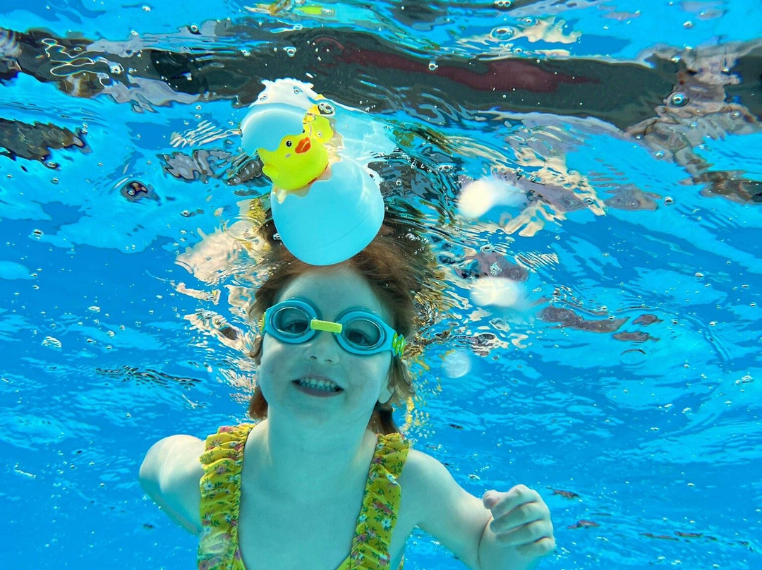 Smart Swim Centre-South Molton必去景点