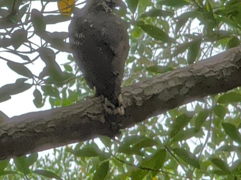 Loco Tours Costa Rica-塔马林多必去景点