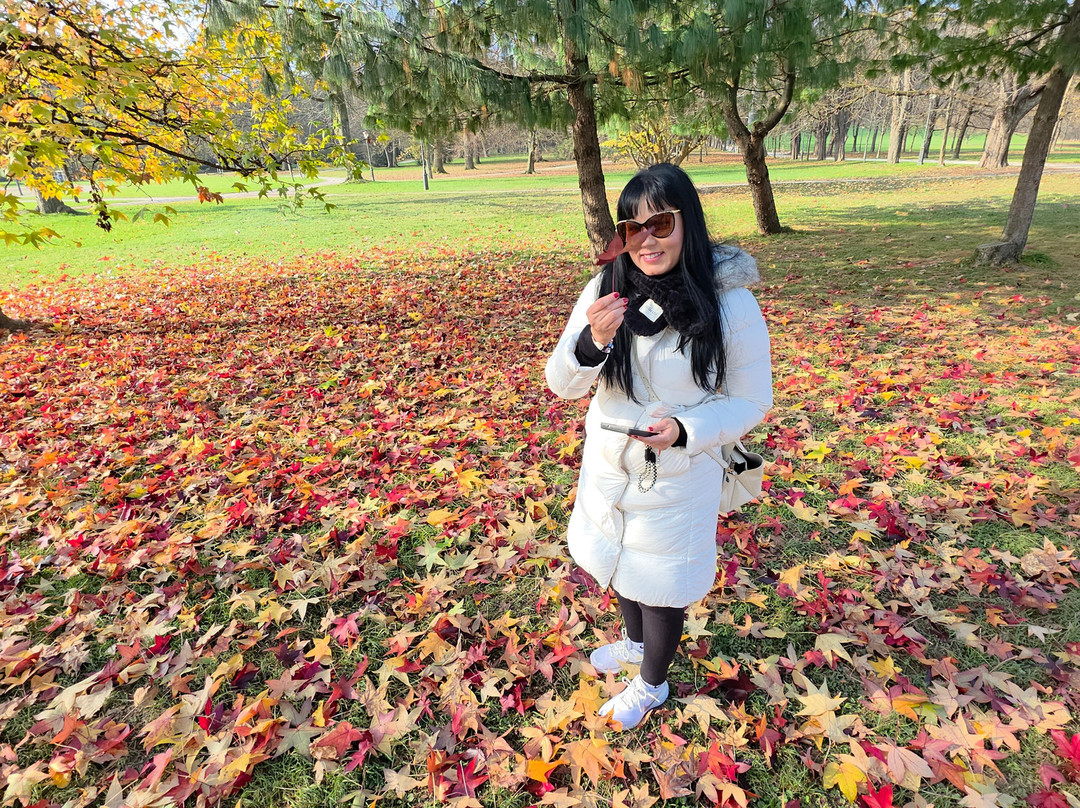 Tivoli Park-卢布尔雅那必去景点