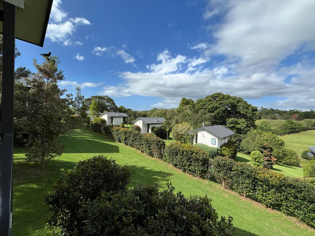 Beechmont Estate主图