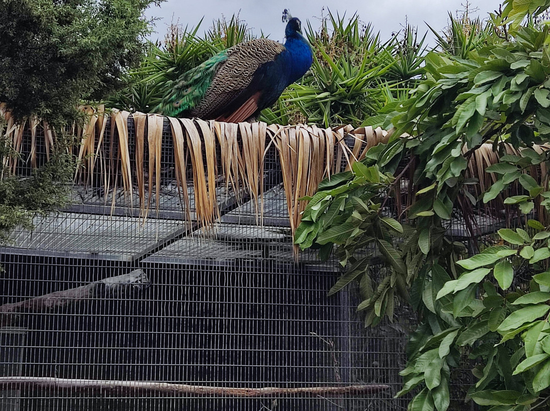 Pafos Zoo-帕福斯必去景点