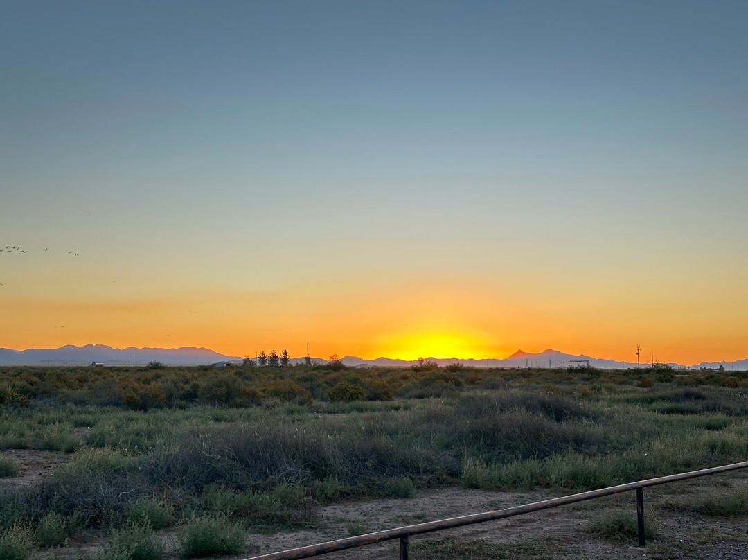 Whitewater Draw Wildlife Area-McNeal必去景点
