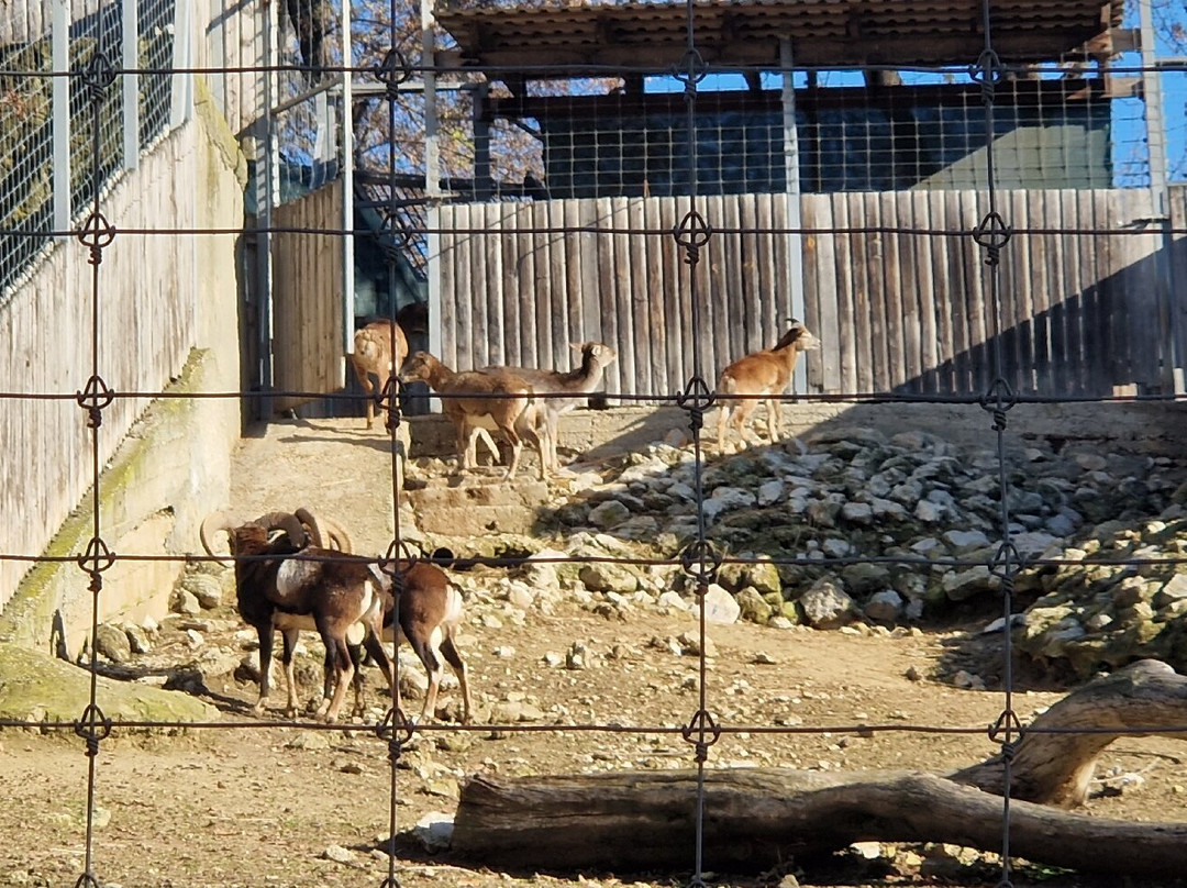 Chisinau Zoo-基希讷乌必去景点
