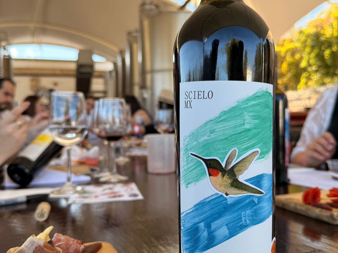 Bodega RGMX-Parras de la Fuente必去景点