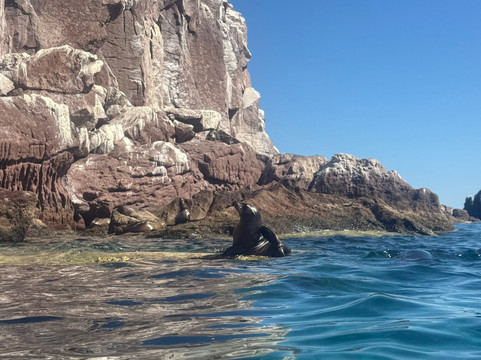 Salinas Adventures-La Ventana必去景点