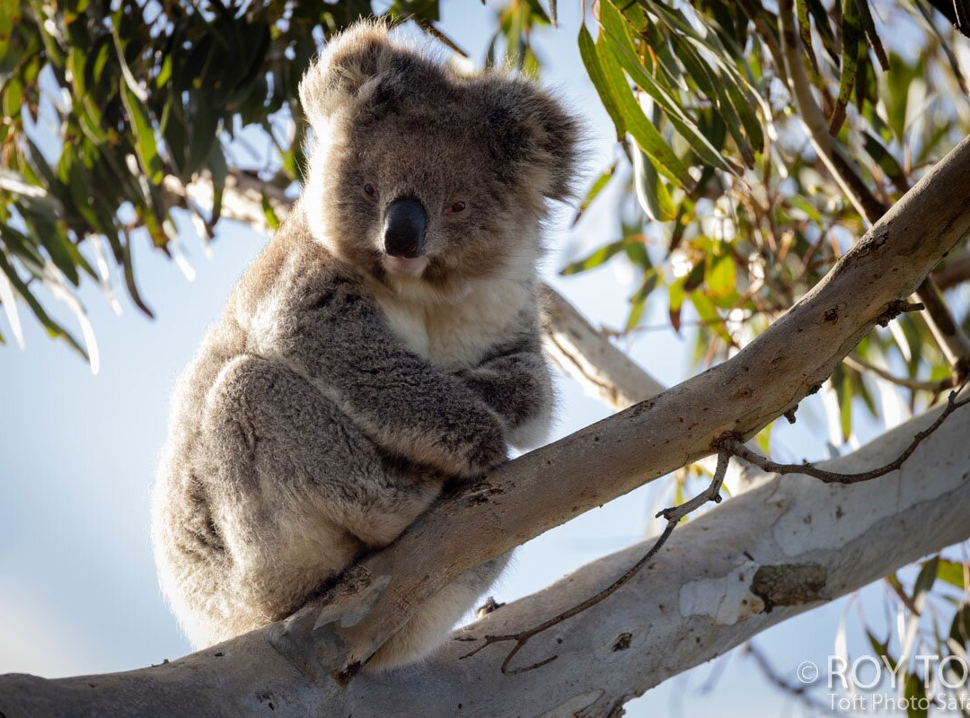 Unearth Adventure-拉布拉多必去景点