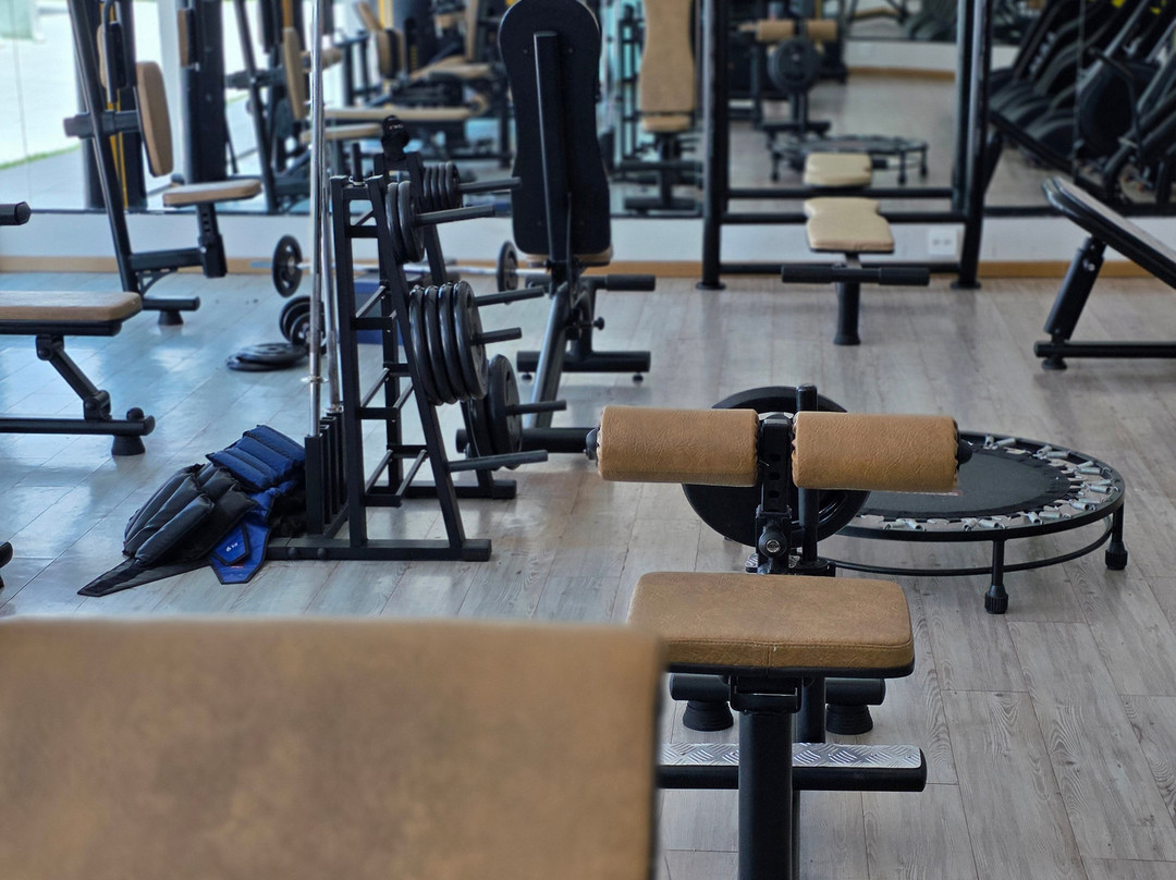 Bristol Aline Hotel主图