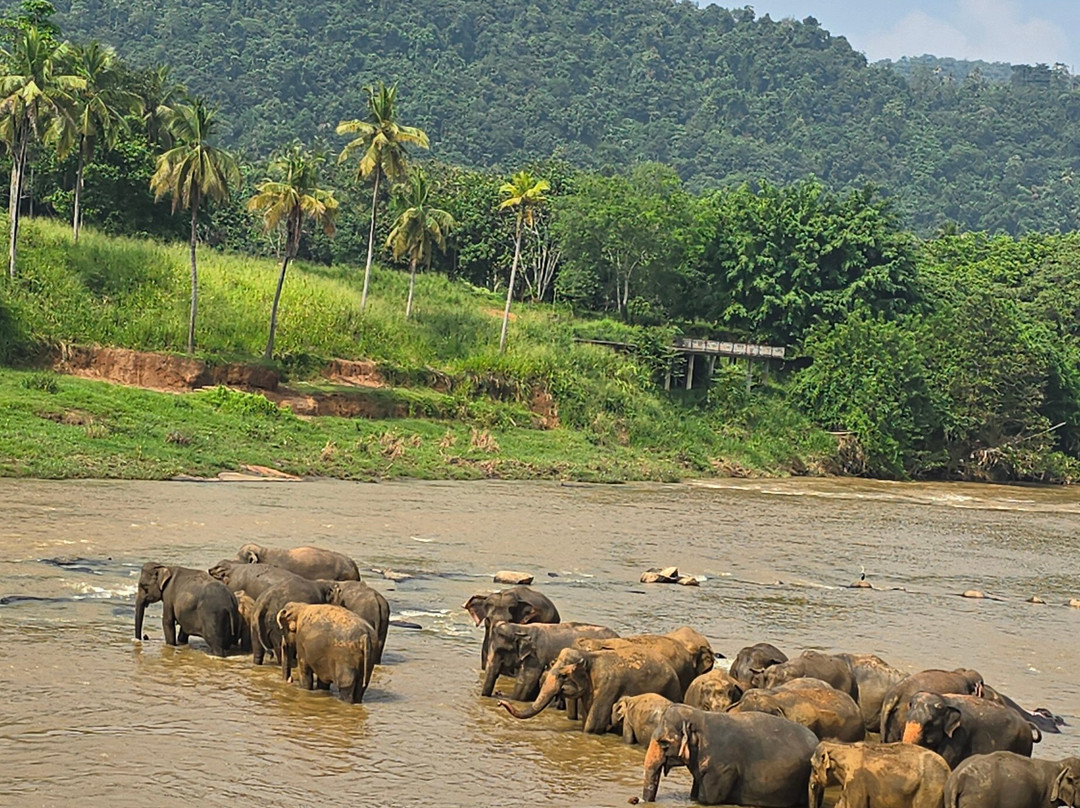 See Lanka Travels-Waikkal必去景点