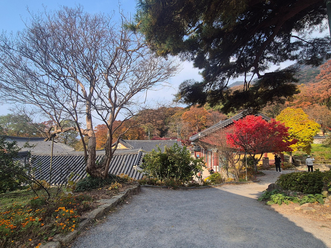 Gapsa temple-公州市必去景点