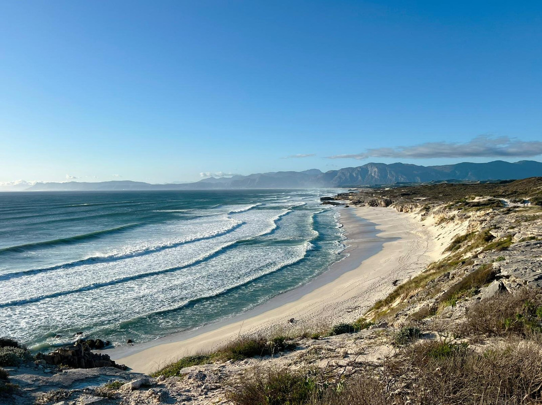 Walker Bay Nature Reserve-赫曼努斯必去景点