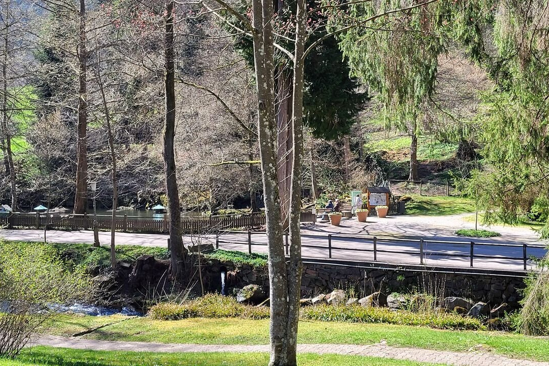 Kurpark Bad Wildbad-Bad Wildbad必去景点