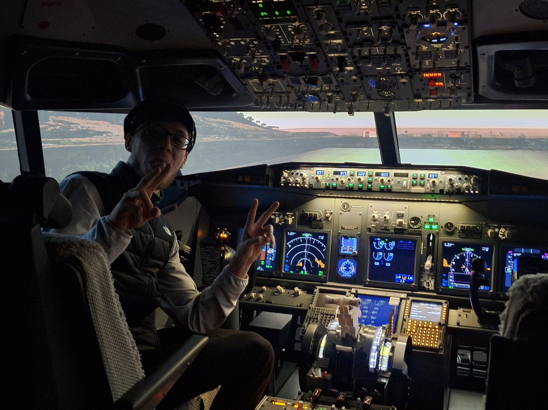 The Flight Experience-纽卡斯尔必去景点