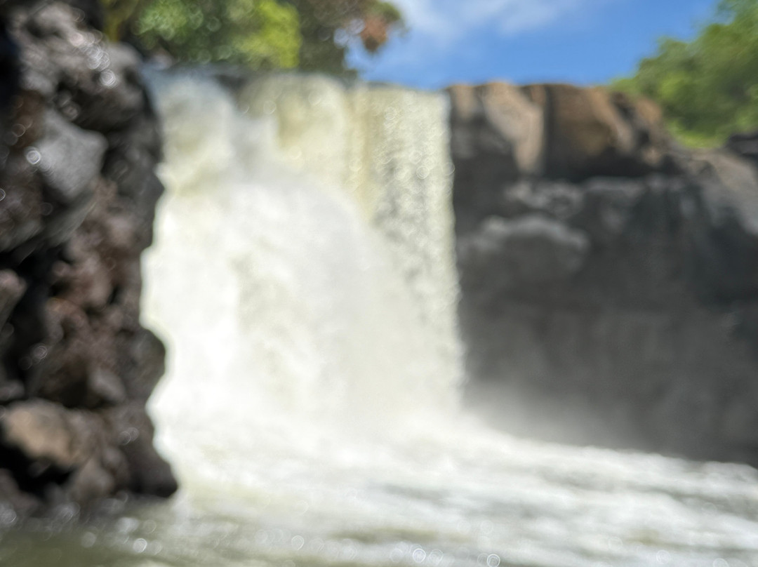 Apollon Cruise-Palmar必去景点