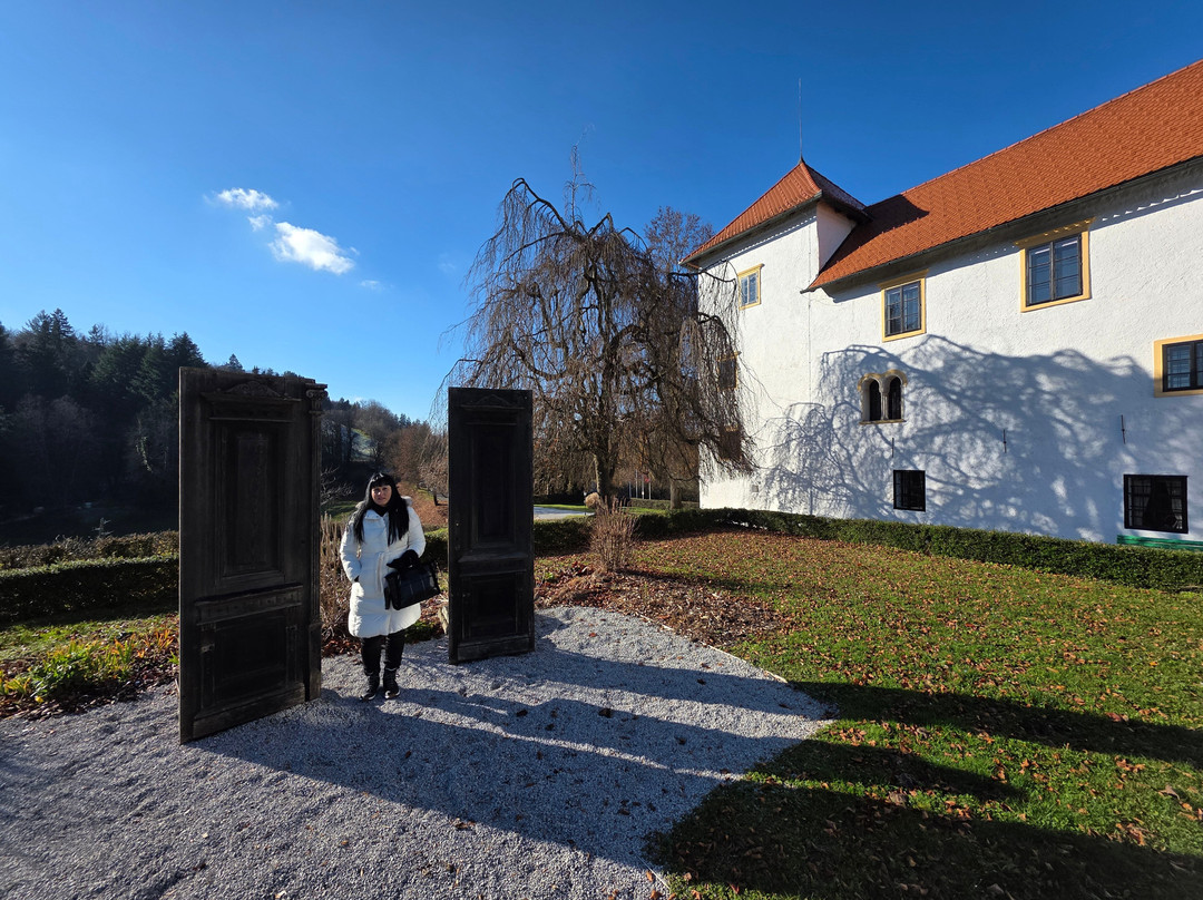 Bogensperk Castle-Litija必去景点