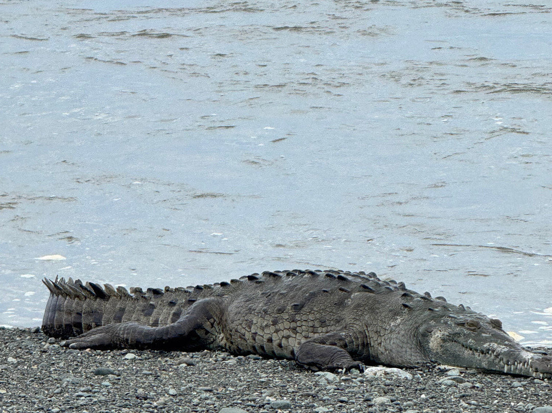 Surcos Tours-希门尼斯港必去景点