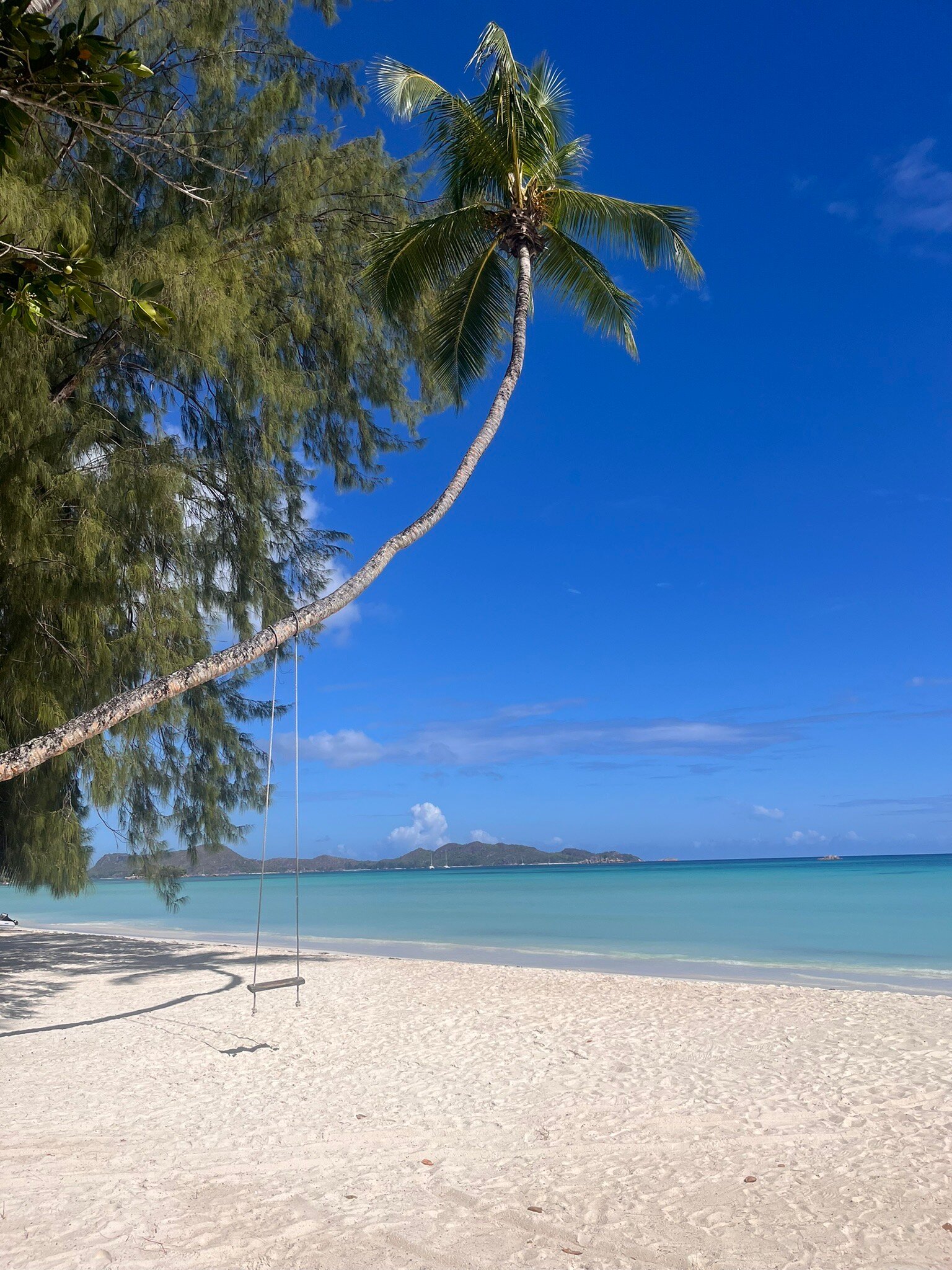 科多尔沁蓝俱乐部酒店-官方