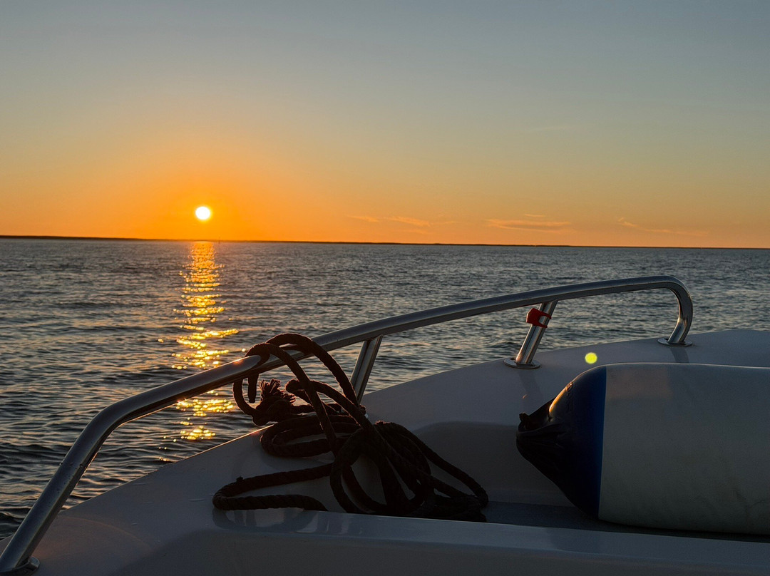 Rota das Ilhas - Boat Tours-奥良必去景点