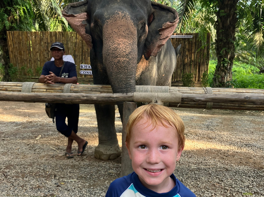 Khao Sok Elephant Sanctuary-拷索国家公园必去景点