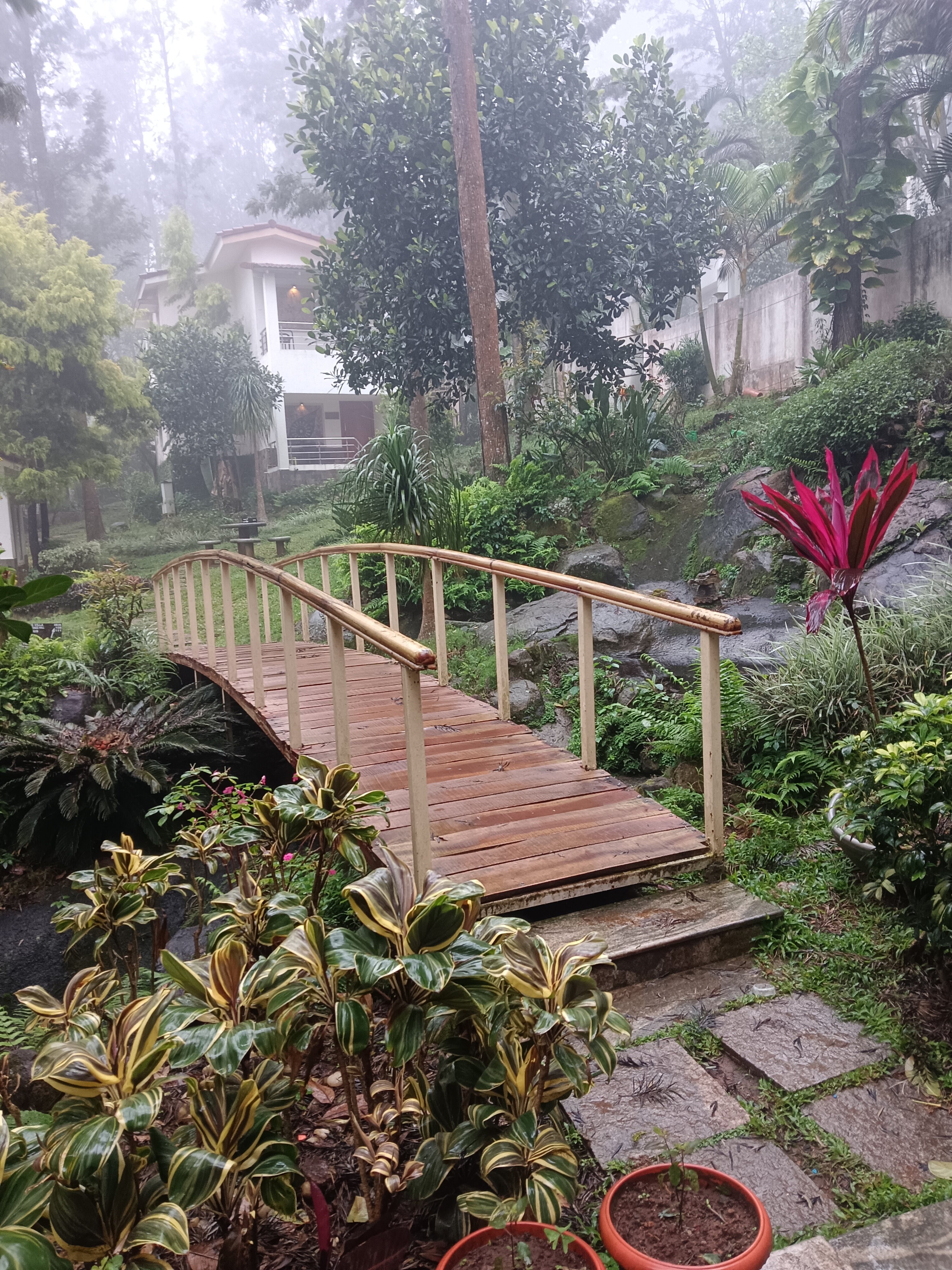 La Four Seasons-官方