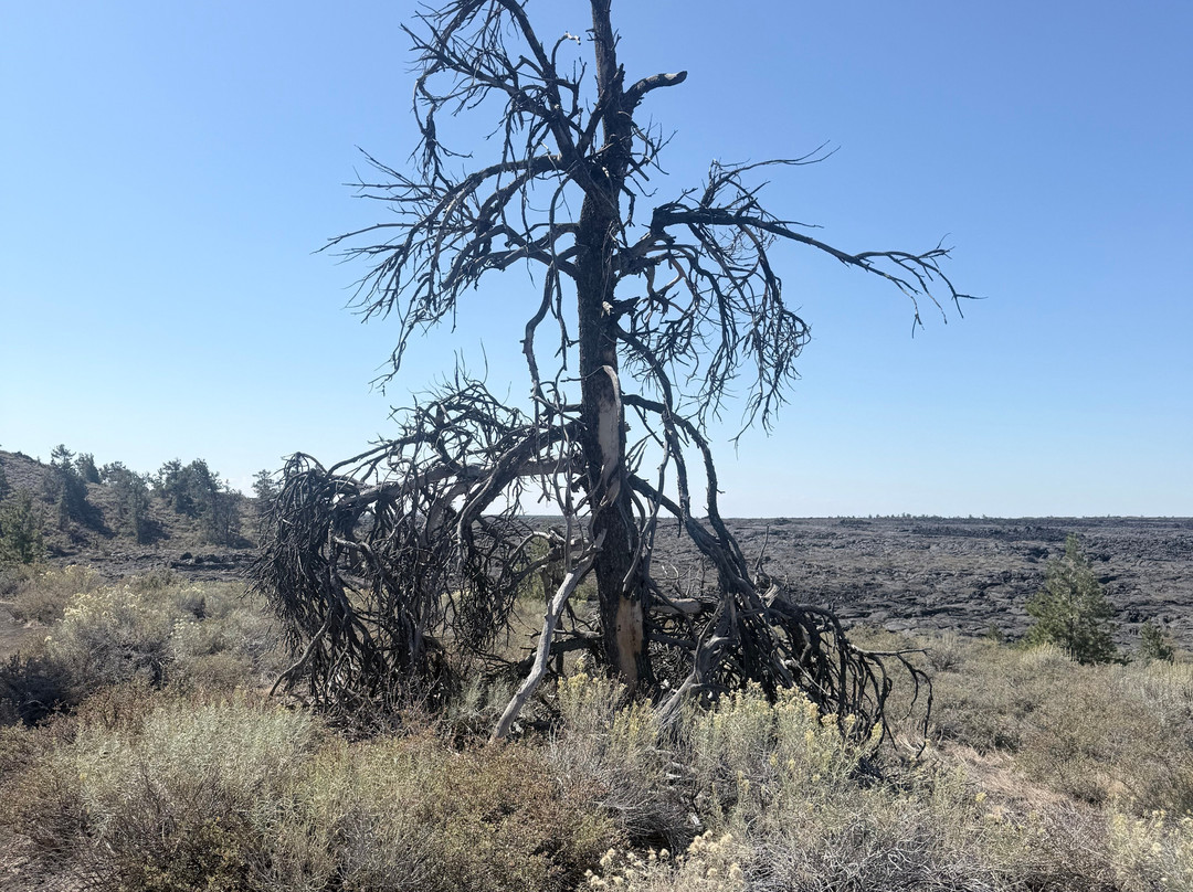 Craters of the Moon National Monument-Arco必去景点