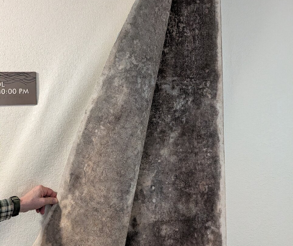 Comfort Inn & Suites主图