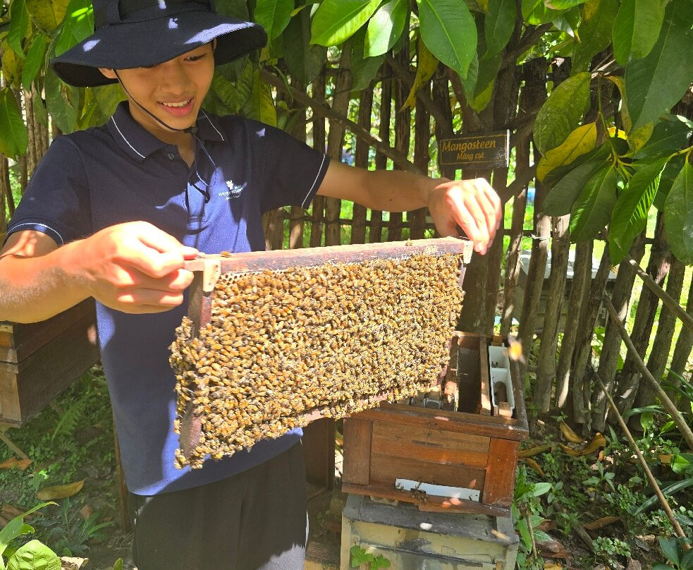 富国岛蜜蜂农场-富国岛必去景点