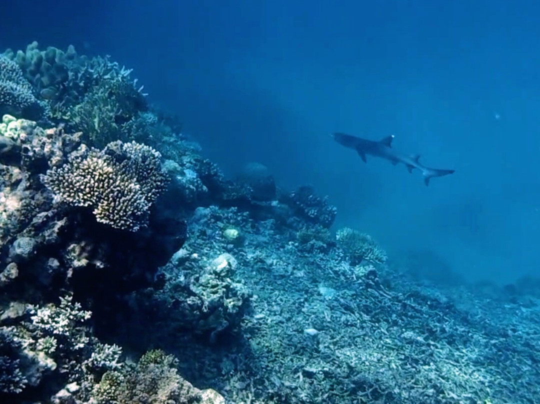 波长礁-道格拉斯港必去景点