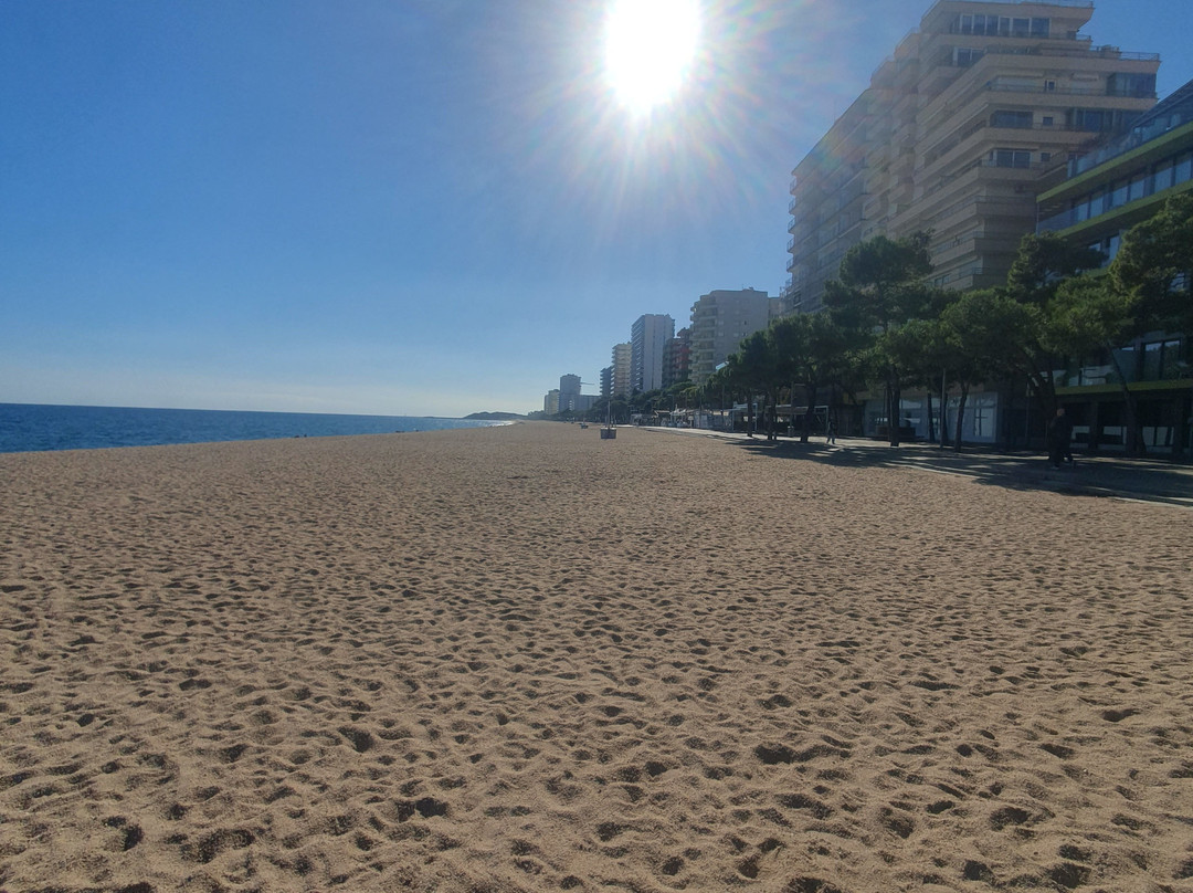 Platja Gran