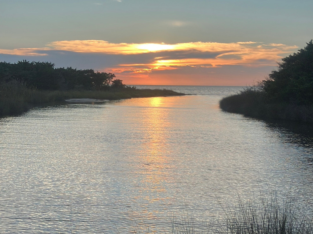 Salvo Beach-Salvo必去景点