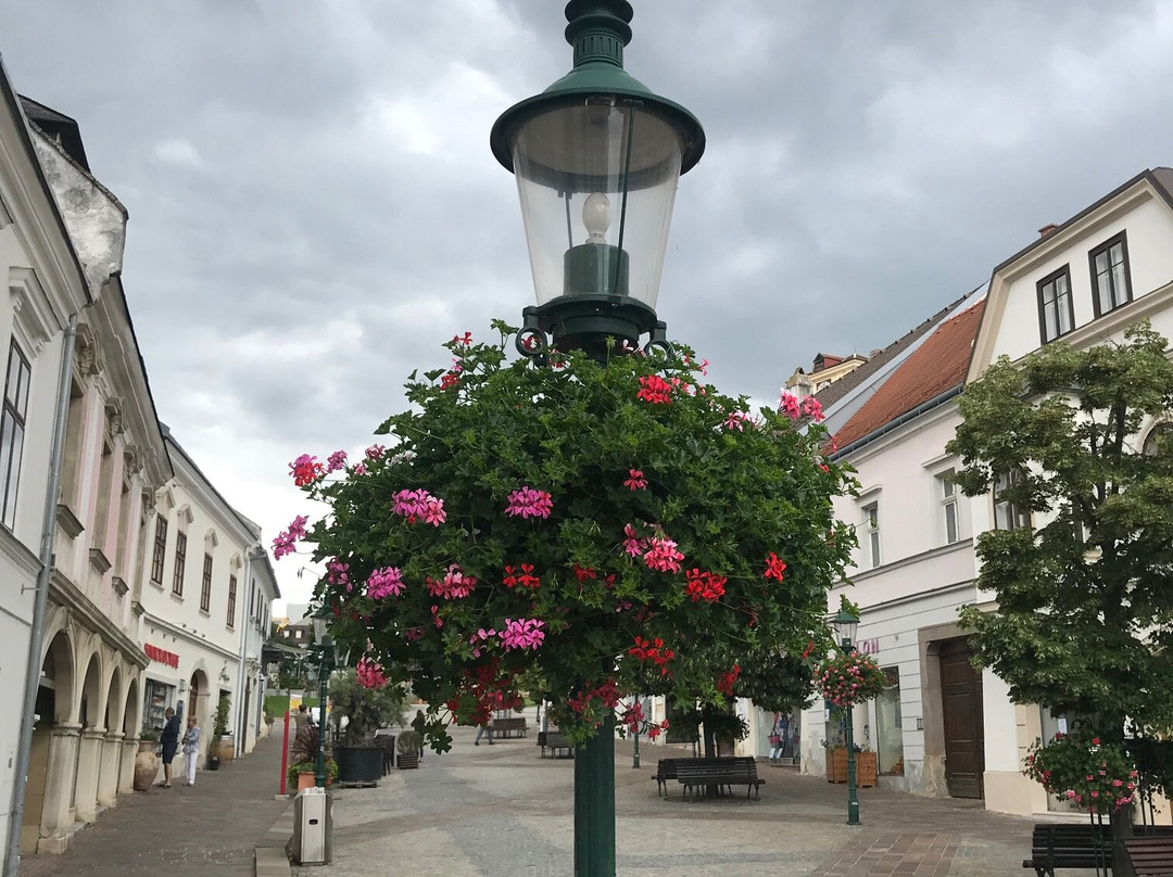 Schloss Esterhazy-铁城必去景点