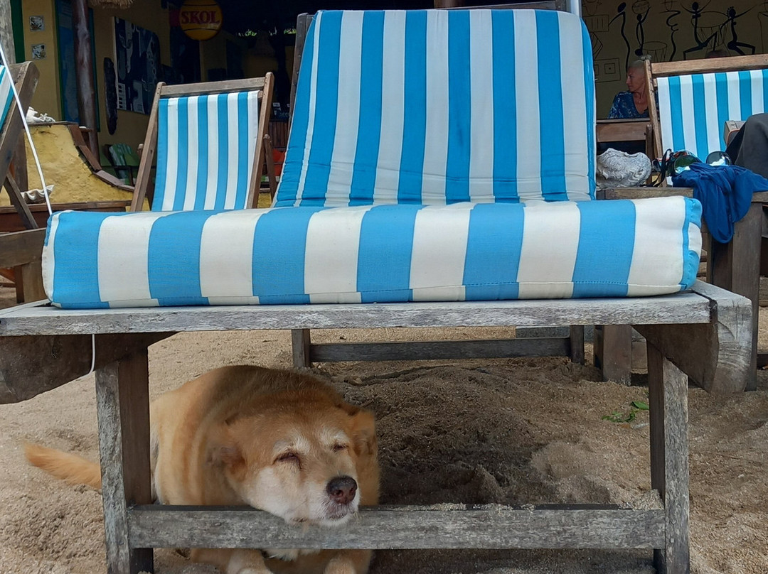 Sambatra Bed & Breakfast主图