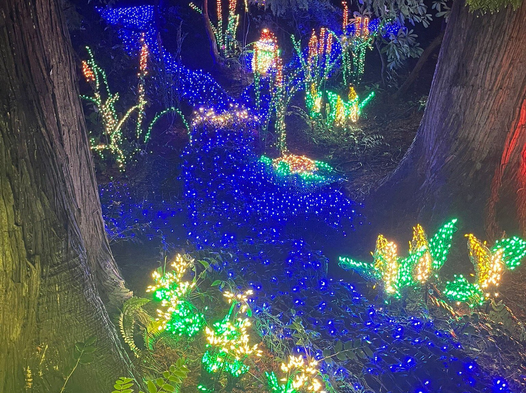 贝尔维尤植物园-贝尔维尤必去景点