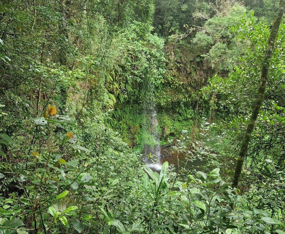Parc Nationale Montagne D'ambre-Joffreville必去景点