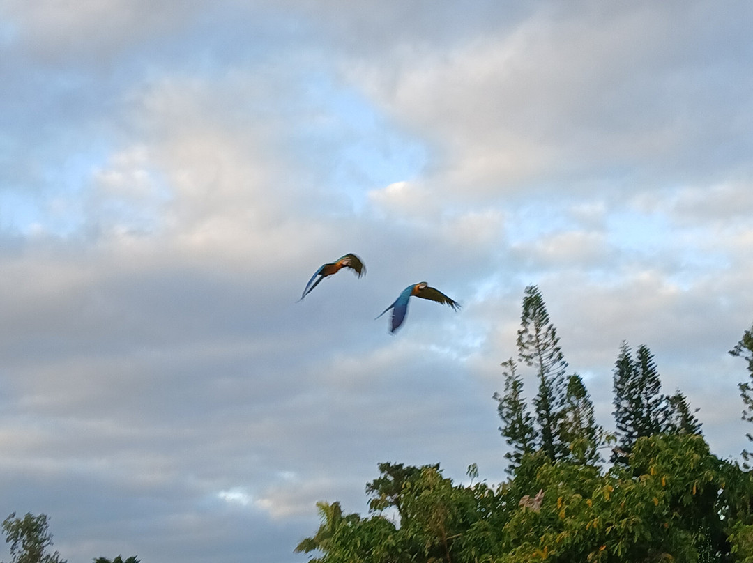 东南植物乐园-冲绳市必去景点