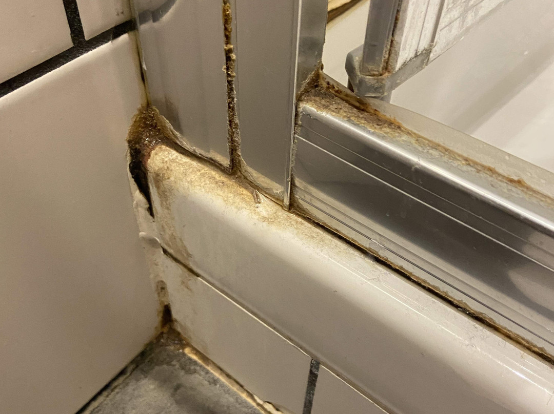 Eklo Hotels Lille主图