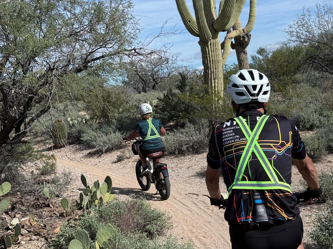 Tucson E-Bike Adventures-图森必去景点