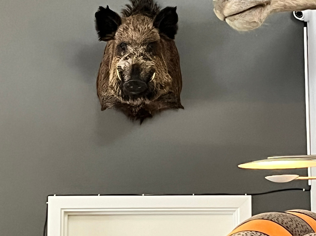 Pangea Park Falster-Nykobing Falster必去景点