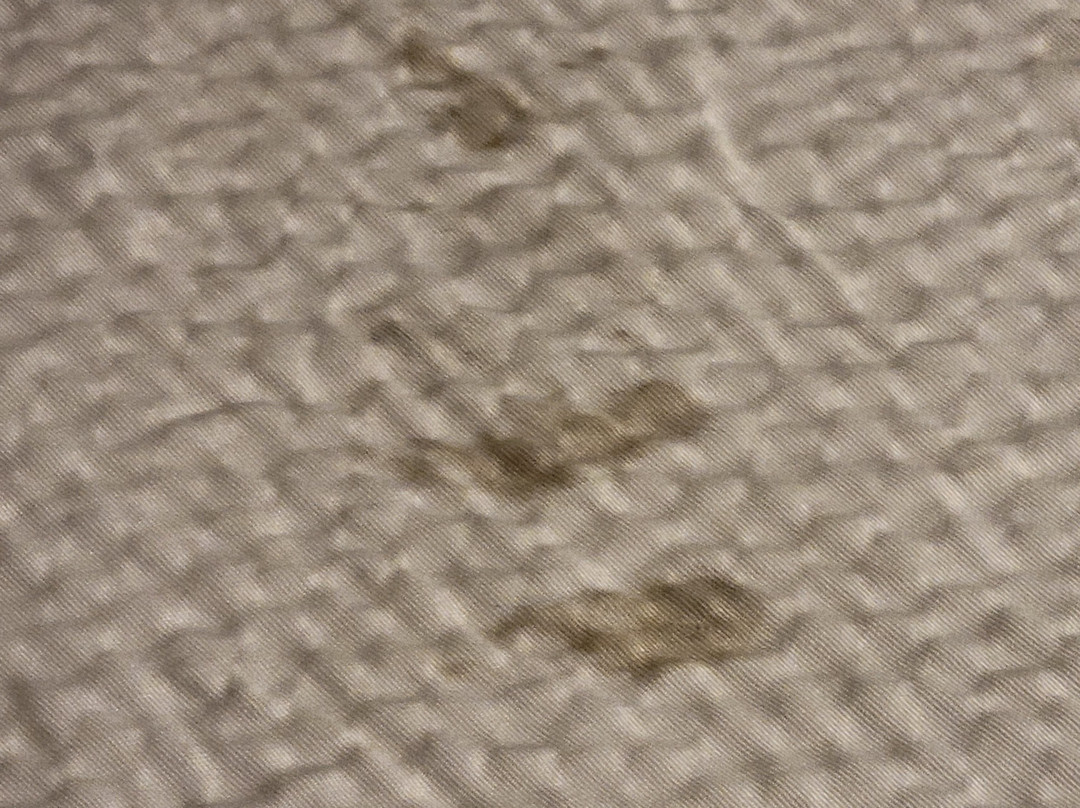 Red Roof Inn Dayton South - Miamisburg主图