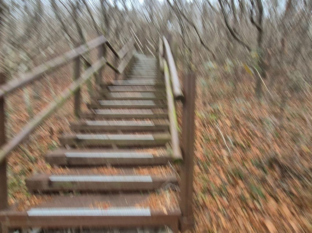 Cheomchalsan-珍岛郡必去景点