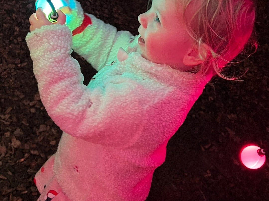 Manorafon Farm Park-Abergele必去景点