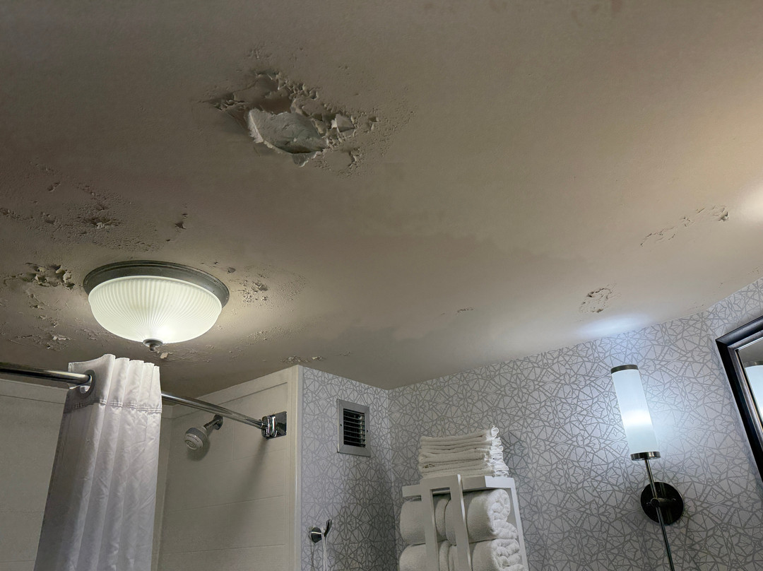 鲍伊希尔顿恒庭酒店主图