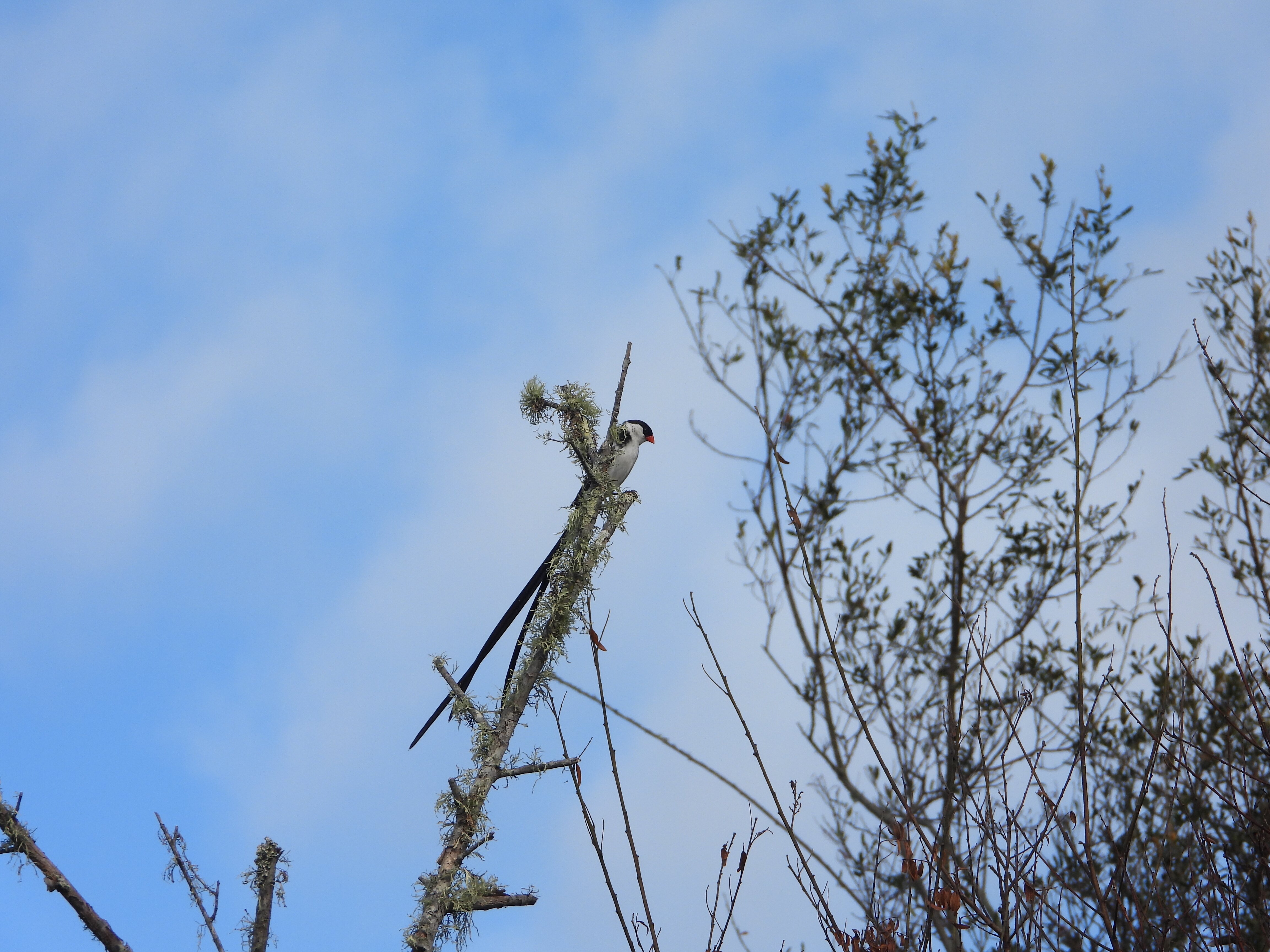 Reflections Eco Reserve-官方