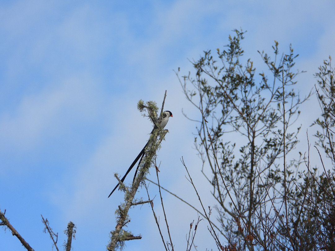 Reflections Eco Reserve主图